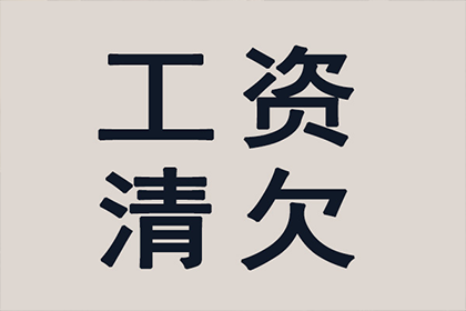 沙雅清债公司